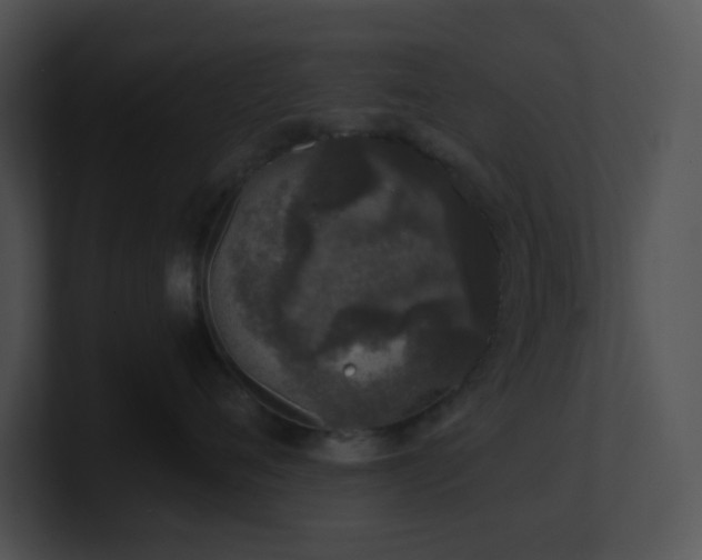 X0000100910720200806241313
