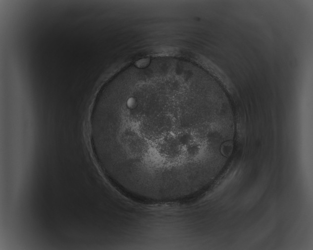 X0000100910721200806241312