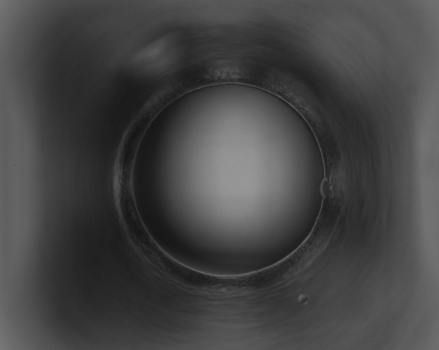 X0000100910722200806241312