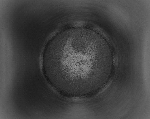 X0000100910725200806241312