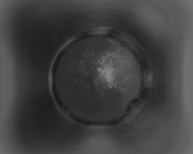 X0000100910726200806241312