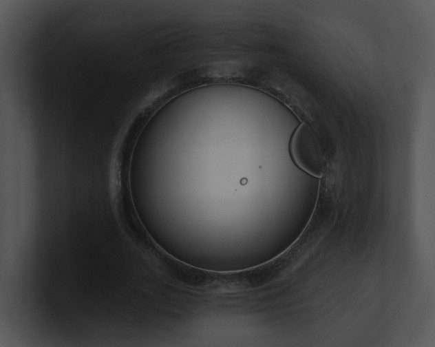 X0000100910727200806241312