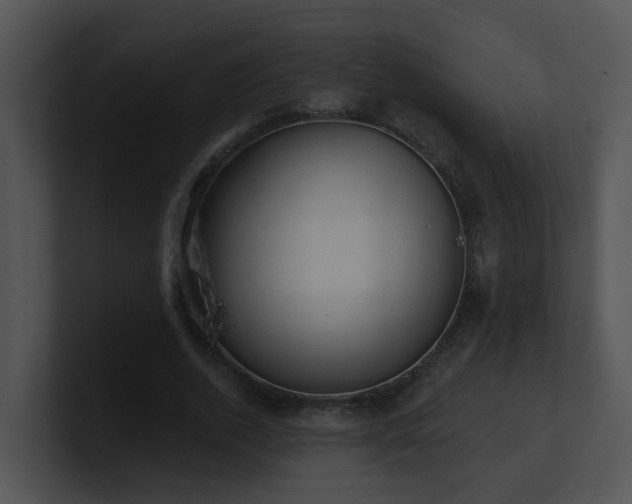 X0000100910728200806241312
