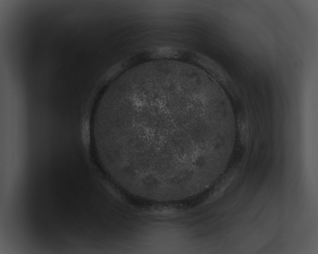 X0000100910729200806241312