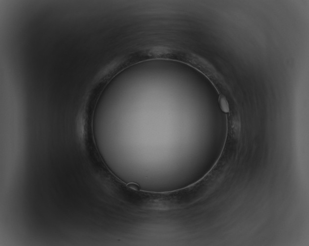 X0000100910732200806241312