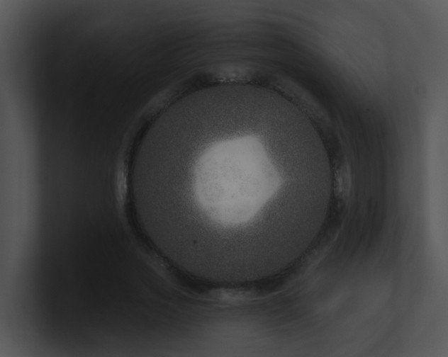 X0000100910733200806241312