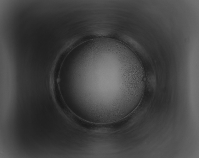 X0000100910734200806241312