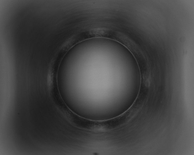 X0000100910735200806241312