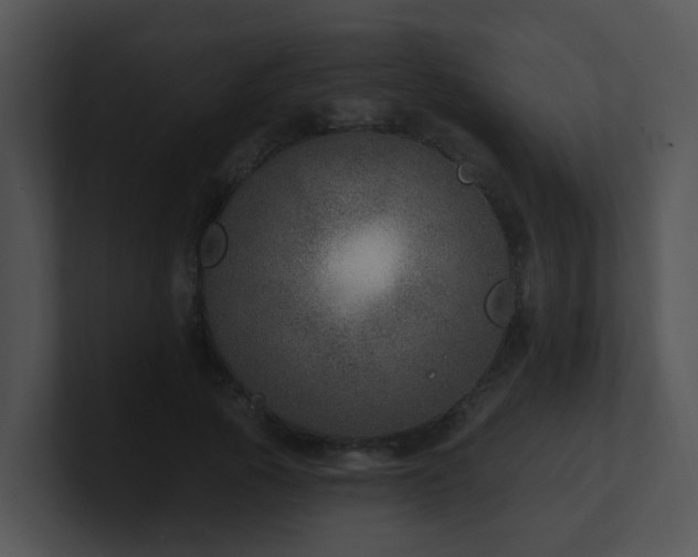 X0000100910737200806241312