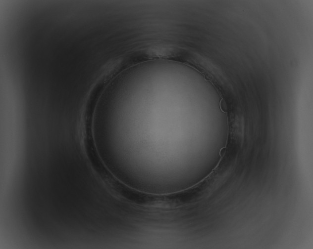 X0000100910738200806241312