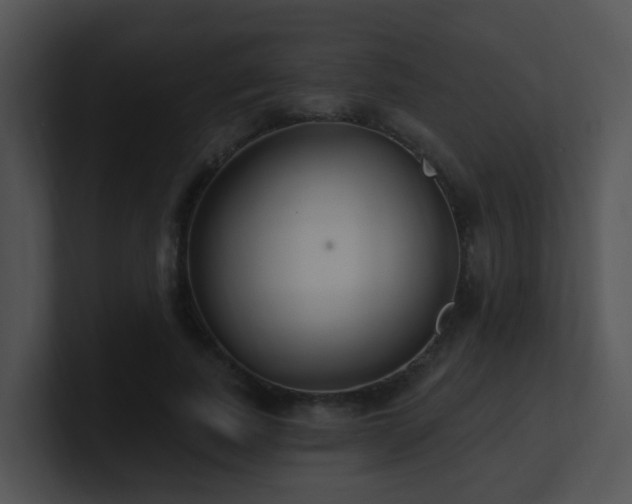 X0000100910739200806241313