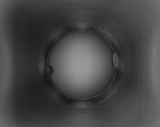 X0000100910740200806241313