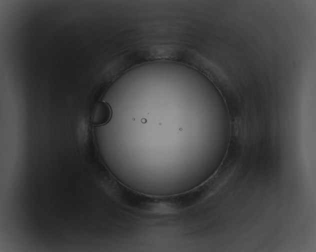X0000100910741200806241313