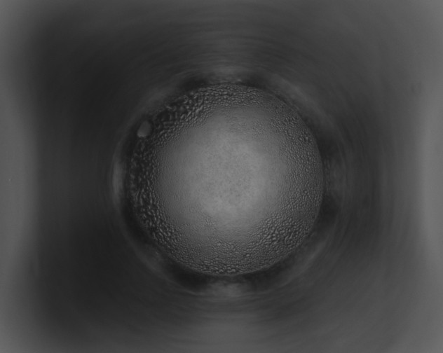 X0000100910742200806241313