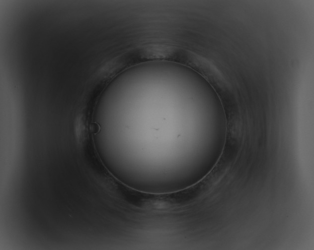 X0000100910743200806241313