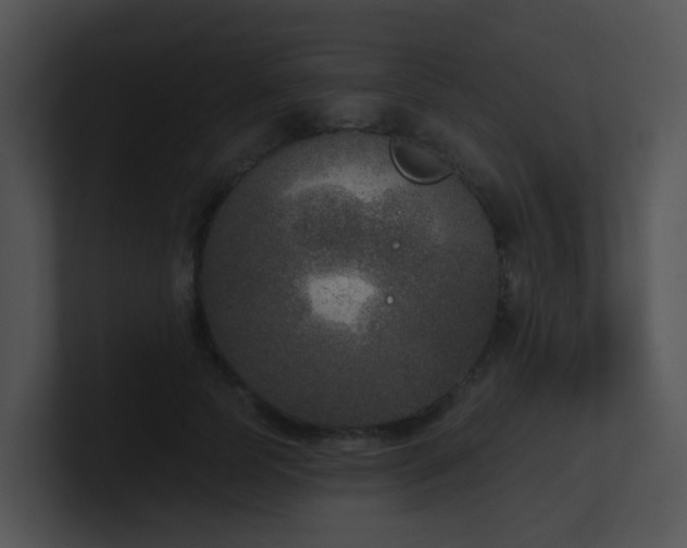 X0000100910745200806241313