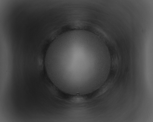 X0000100910749200806241313