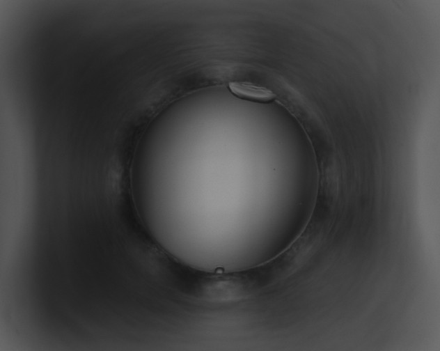 X0000100910750200806241313