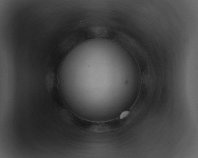 X0000100910752200806241313