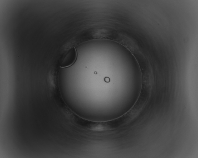 X0000100910755200806241313
