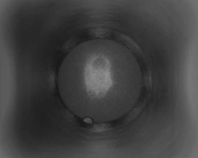 X0000100910757200806241313