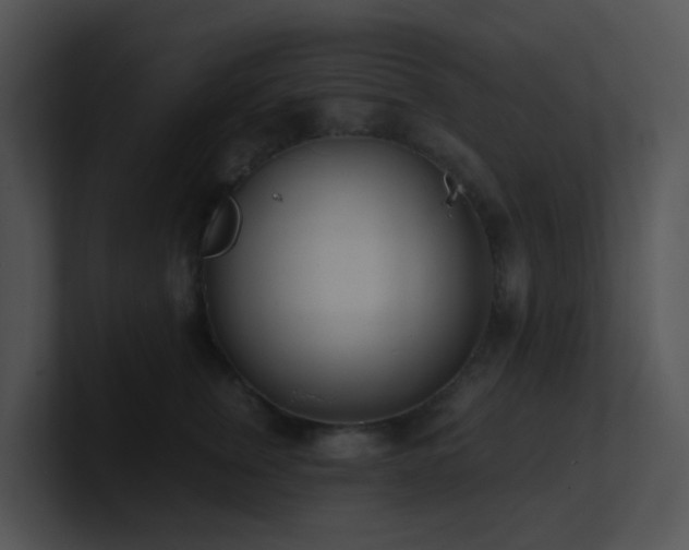 X0000100910759200806241313