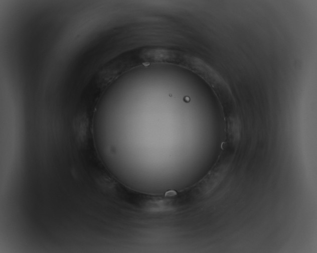 X0000100910760200806241313