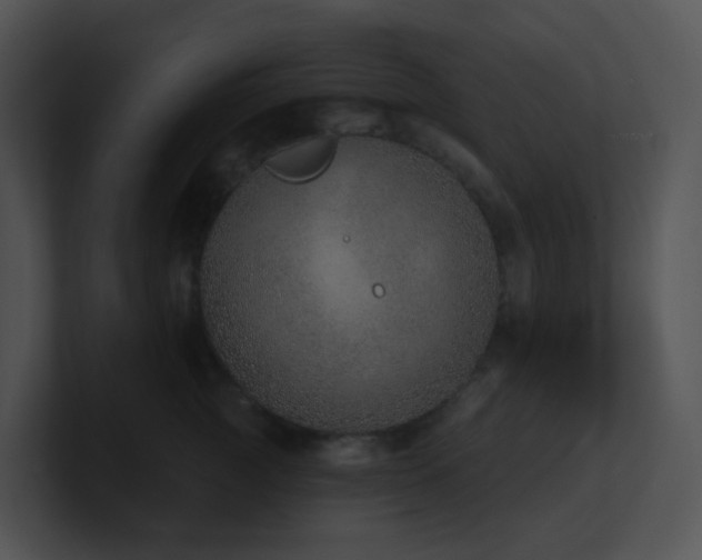 X0000100910761200806241313