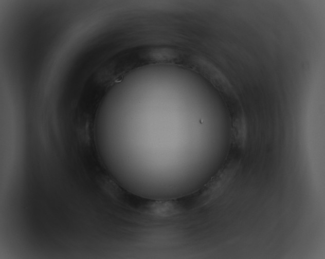 X0000100910762200806241313