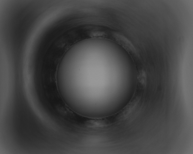 X0000100910763200806241313