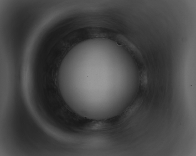 X0000100910764200806241313