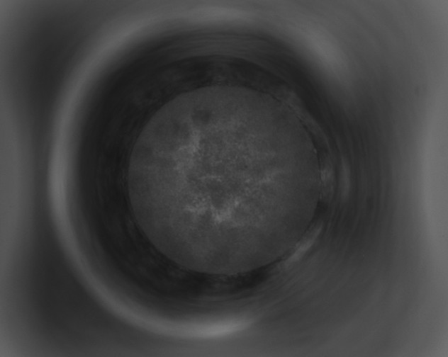 X0000100910765200806241313