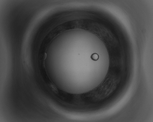 X0000100910766200806241313