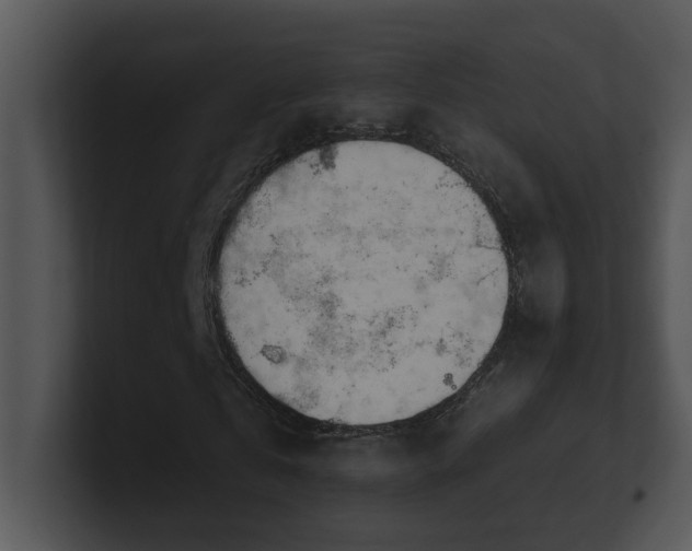 X0000100910769200806241312