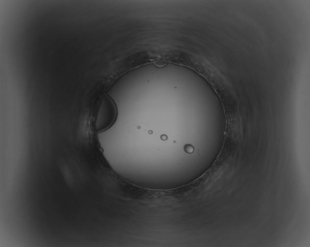 X0000100910770200806241312