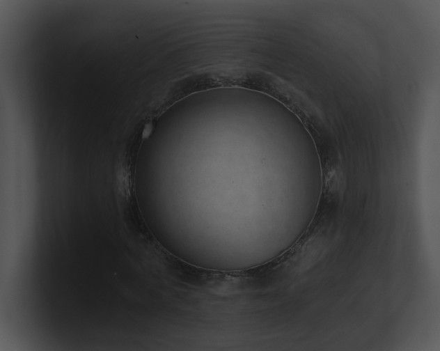 X0000100910772200806241312