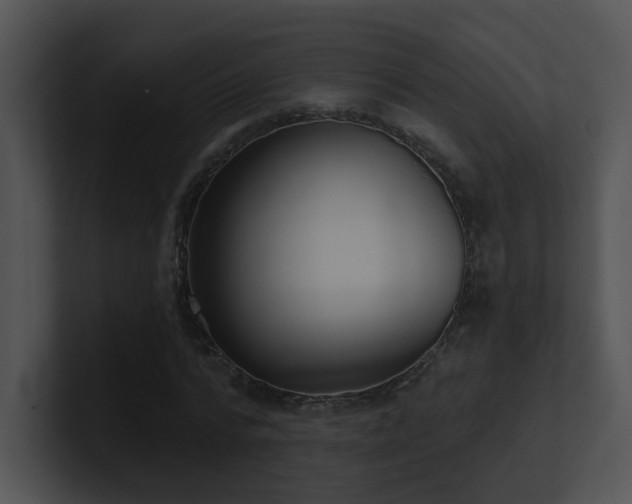 X0000100910776200806241312