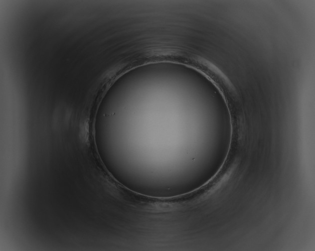 X0000100910777200806241312