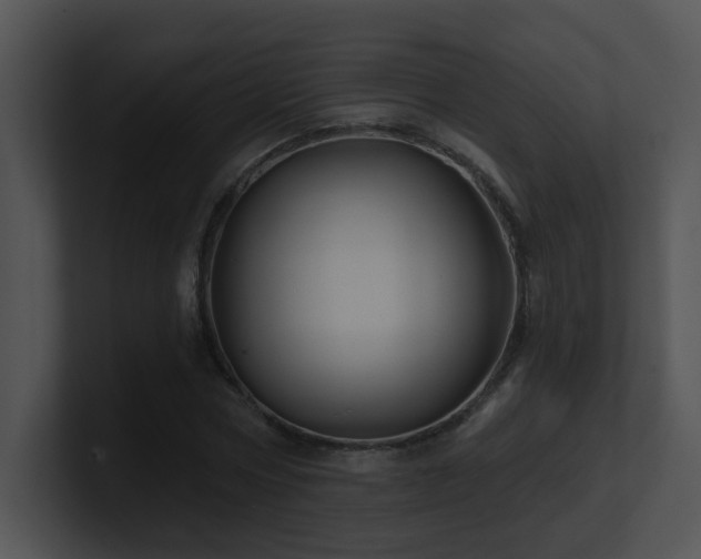 X0000100910778200806241312