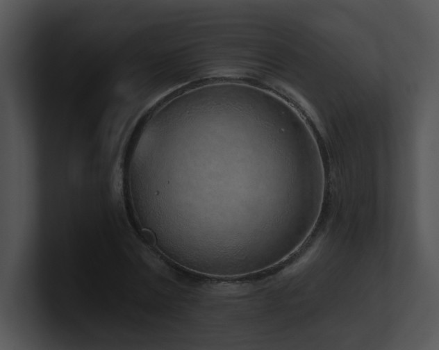 X0000100910779200806241312