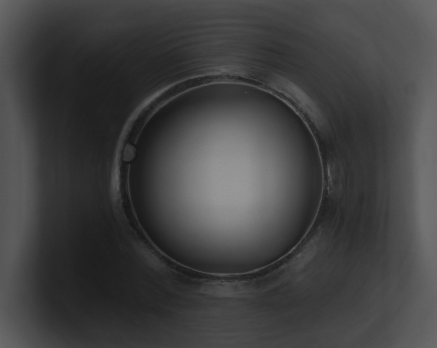 X0000100910780200806241312