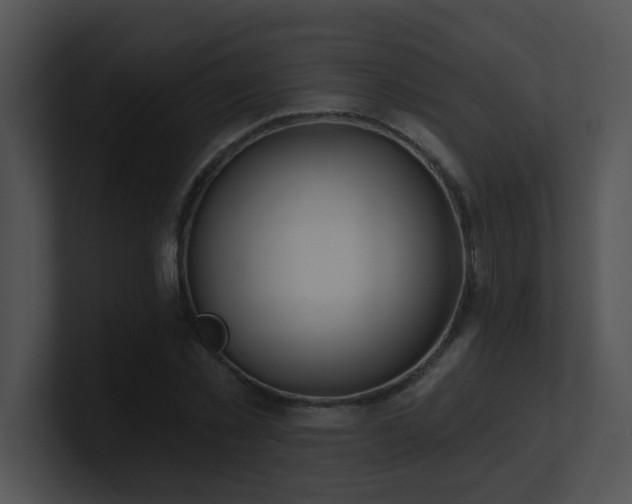 X0000100910781200806241312