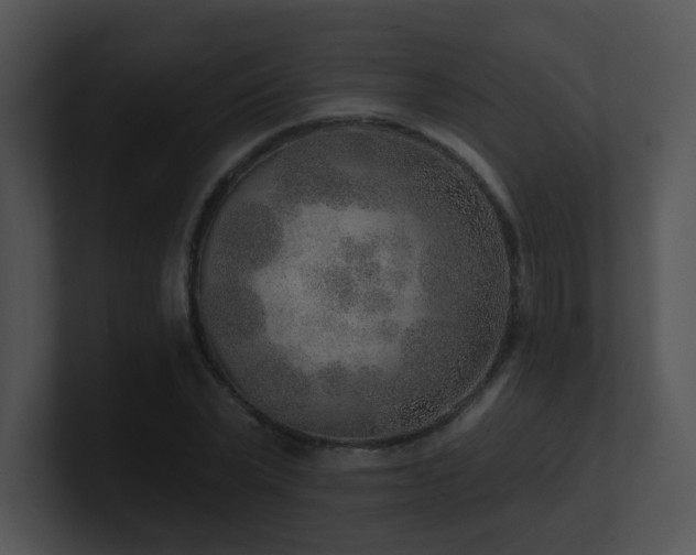 X0000100910783200806241312