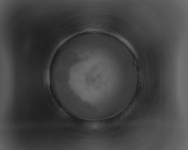 X0000100910791200806241312