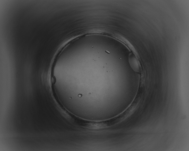 X0000100910795200806241312