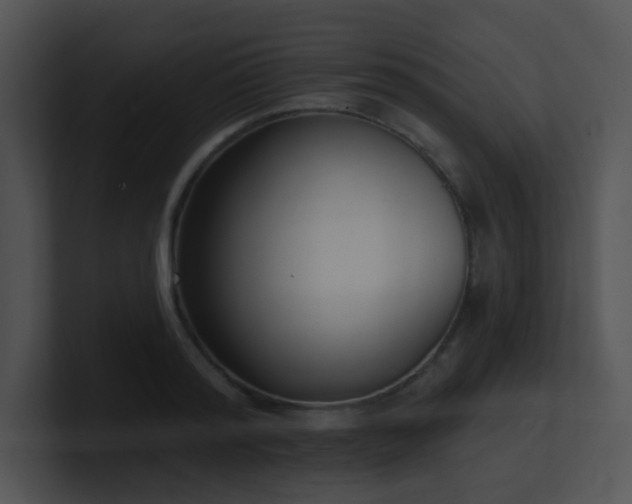 X0000100910796200806241312