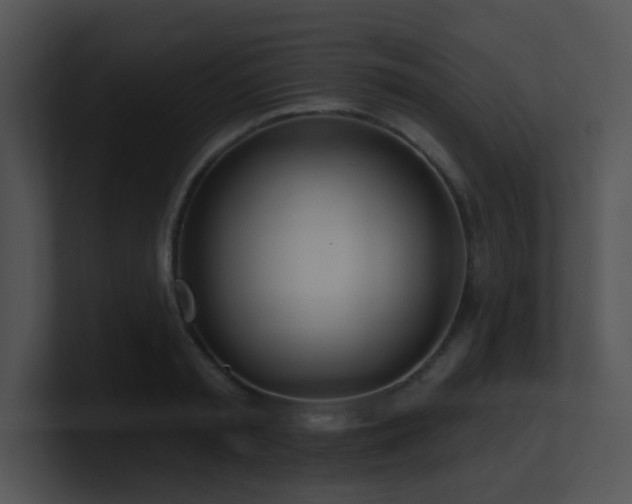 X0000100910797200806241312