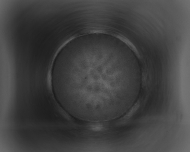 X0000100910798200806241312