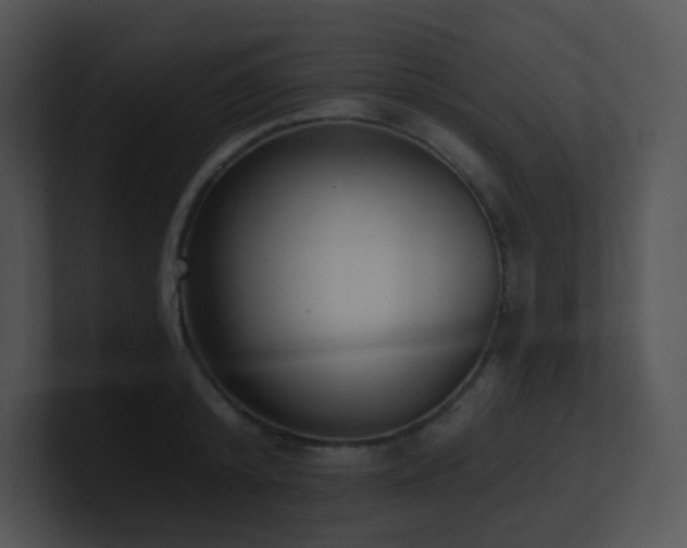X0000100910800200806241312