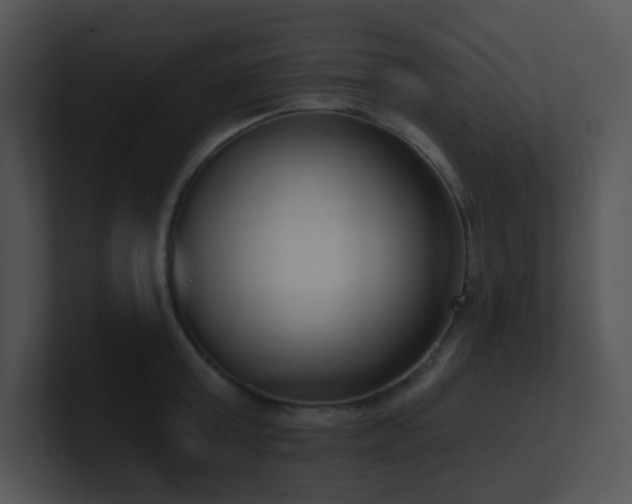 X0000100910803200806241312